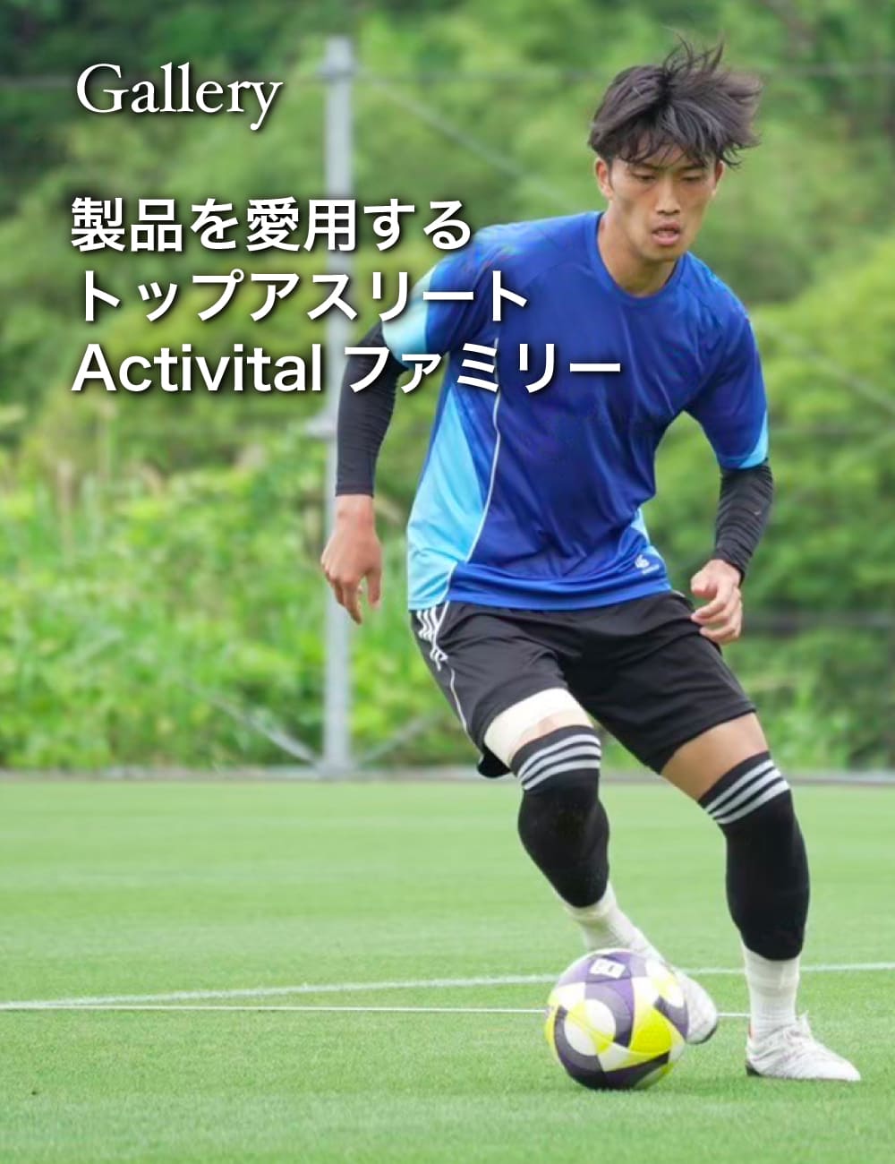 アンバサダー